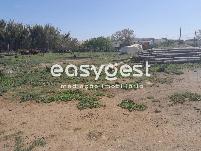Terreno Agricola ou Rústico para Venda em Beja (Salvador e Santa Maria da Feira) Foto 5