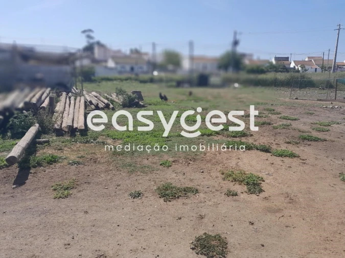 Terreno Agricola ou Rústico para Venda em Beja (Salvador e Santa Maria da Feira) Foto 8