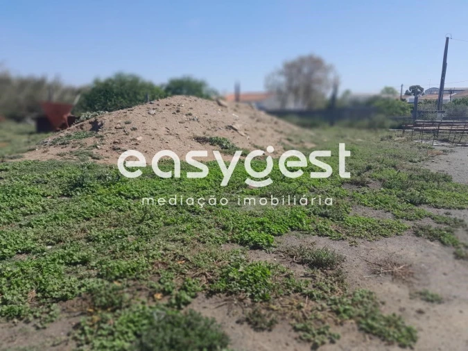 Terreno Agricola ou Rústico para Venda em Beja (Salvador e Santa Maria da Feira) Foto 9
