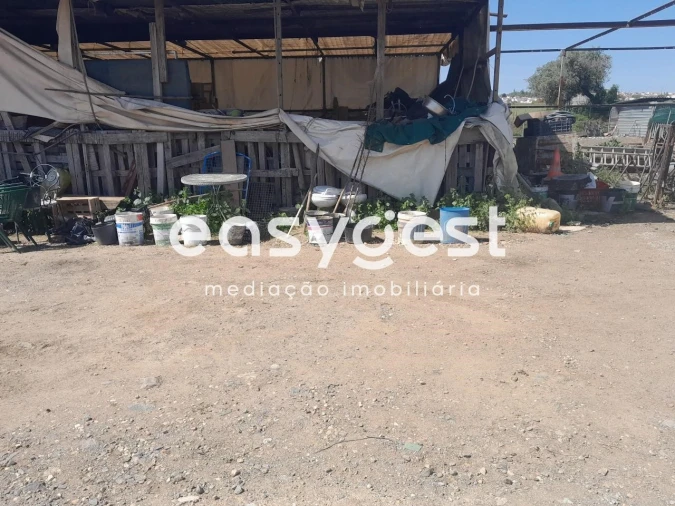 Terreno Agricola ou Rústico para Venda em Beja (Salvador e Santa Maria da Feira) Foto 11