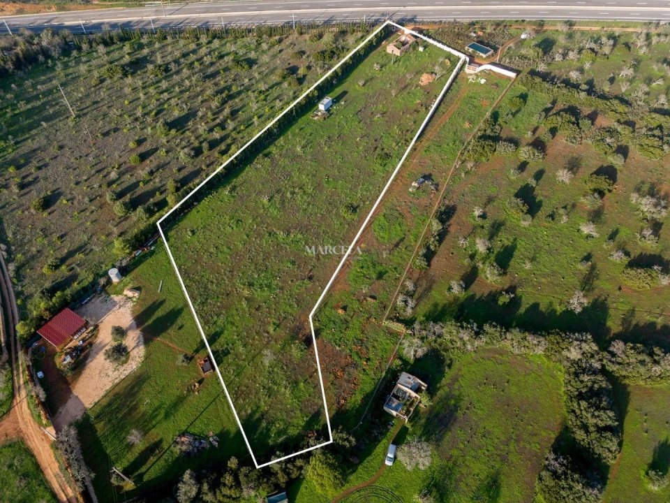 Terreno para Venda em Lagos (São Sebastião e Santa Maria) Foto 5