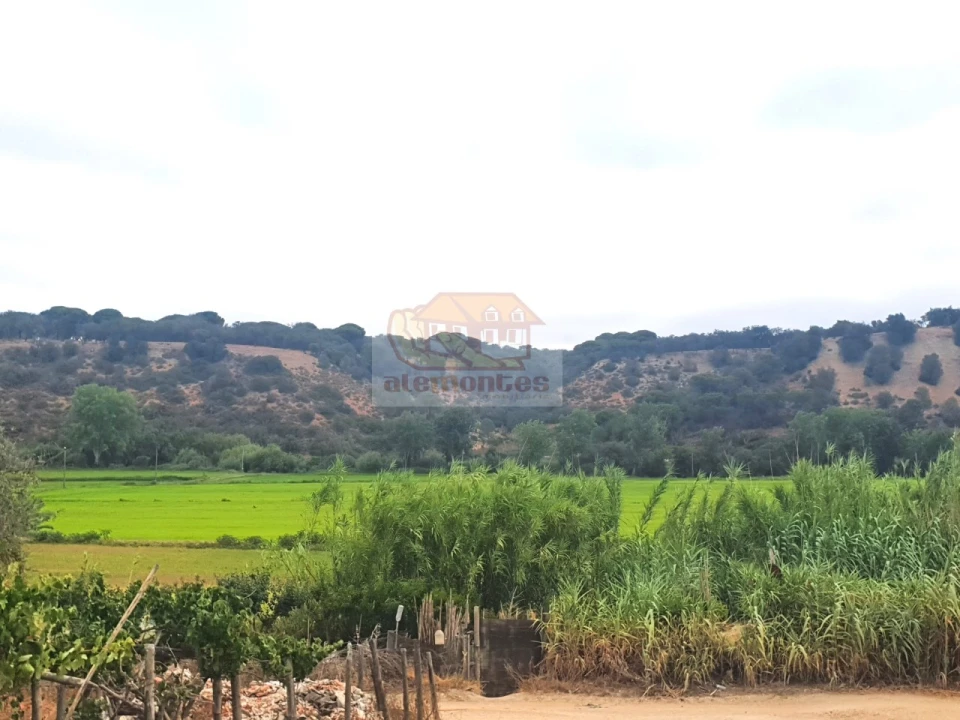 Terreno para Venda em Torrão Foto 4