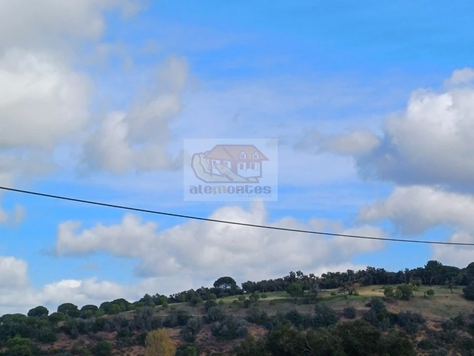 Terreno para Venda em Torrão Foto 6