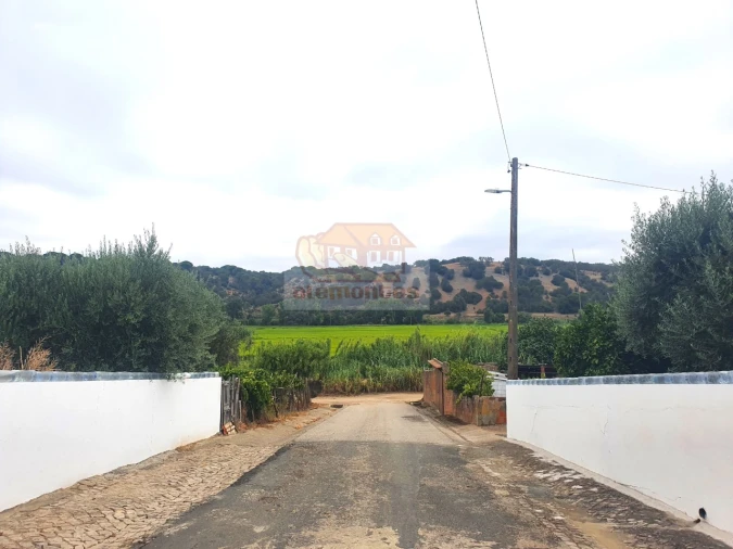 Terreno para Venda em Torrão Foto 2