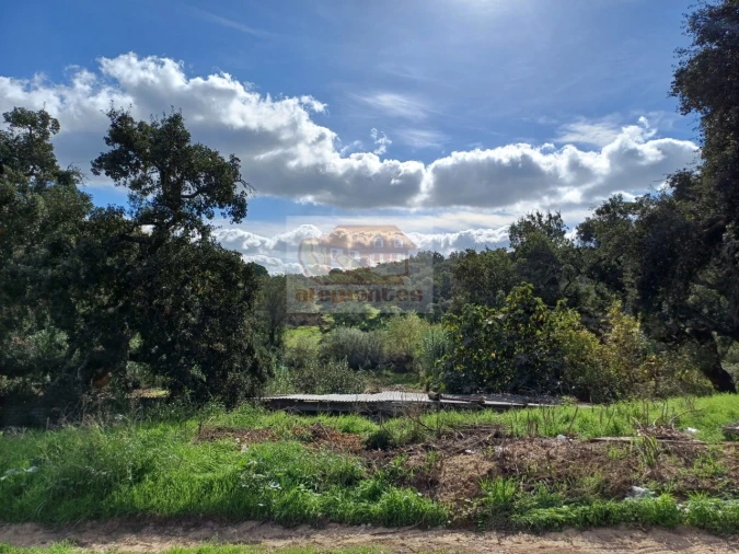 Terreno para Venda em Torrão Foto 8