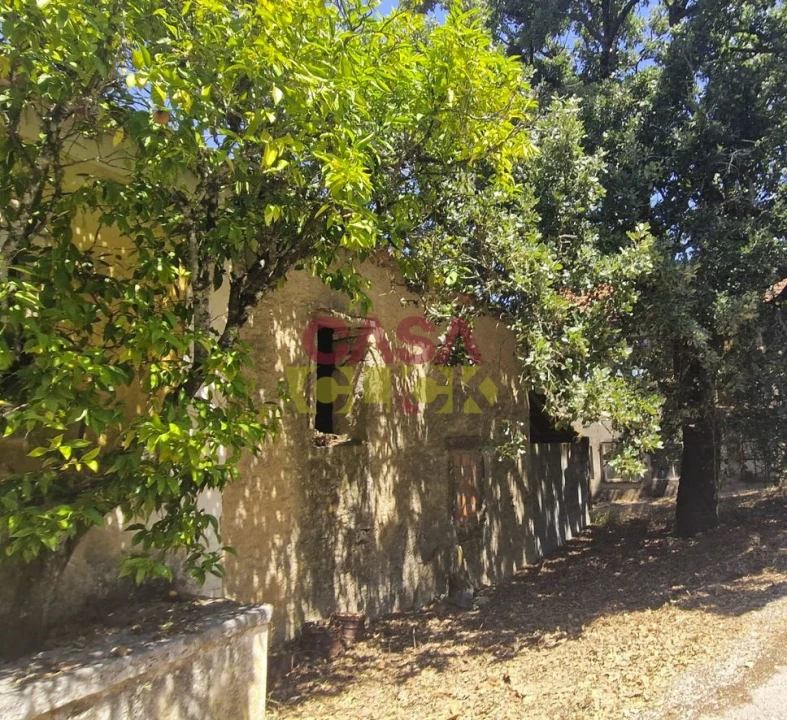 Moradia T6 para Venda em Nossa Senhora das Misericordias Foto 5