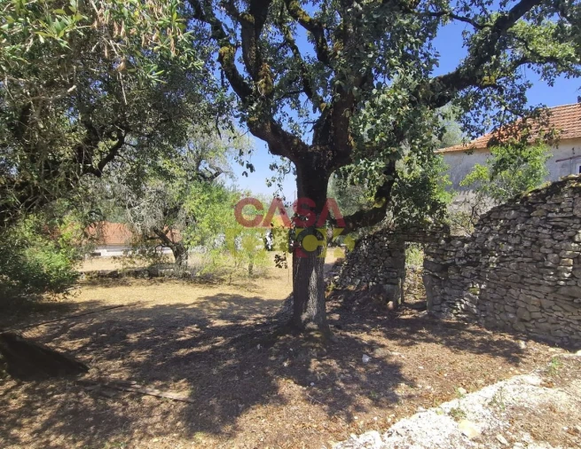 Moradia T6 para Venda em Nossa Senhora das Misericordias Foto 3