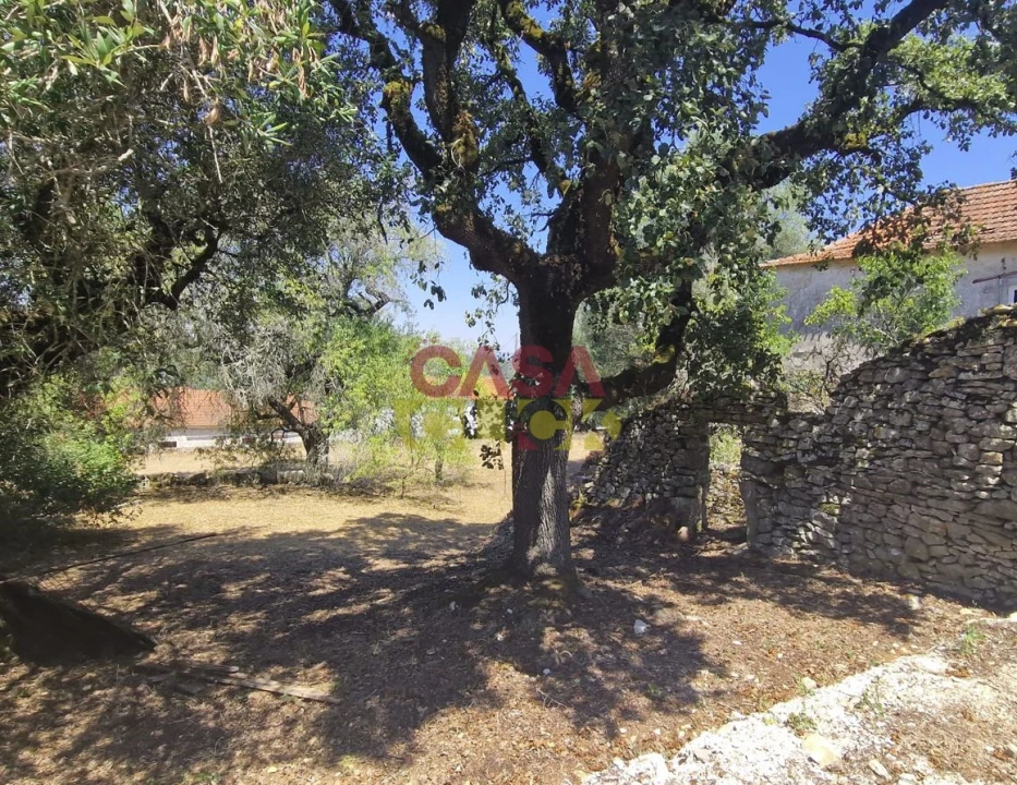 Moradia T6 para Venda em Nossa Senhora das Misericordias Foto 3