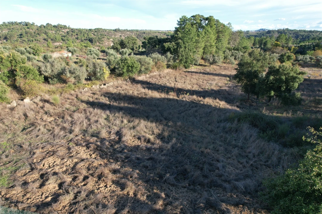 Moradia T0 para Venda em Salgueiro do Campo Foto 6