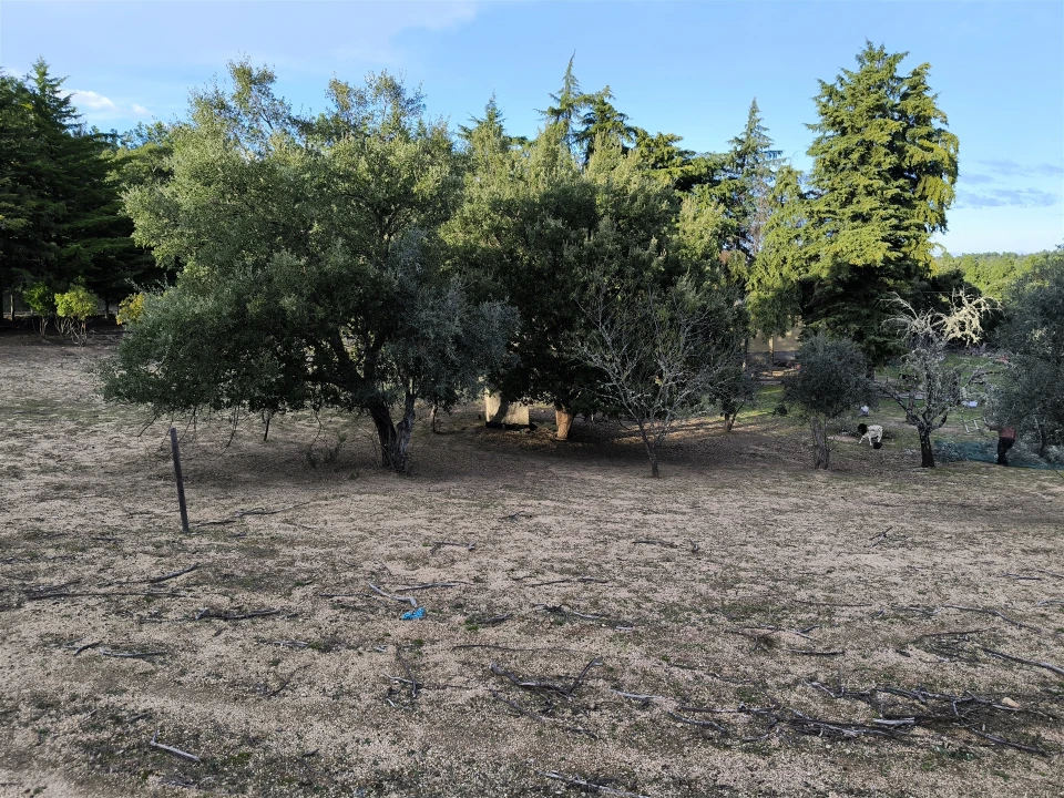 Moradia T0 para Venda em Salgueiro do Campo Foto 43