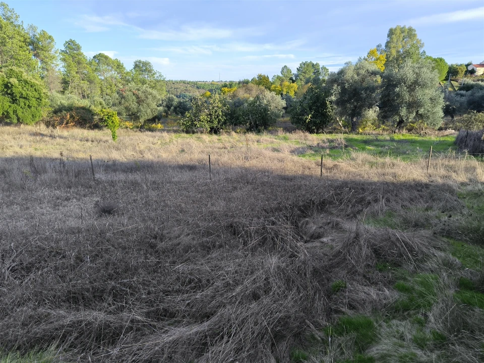Moradia T0 para Venda em Salgueiro do Campo Foto 35