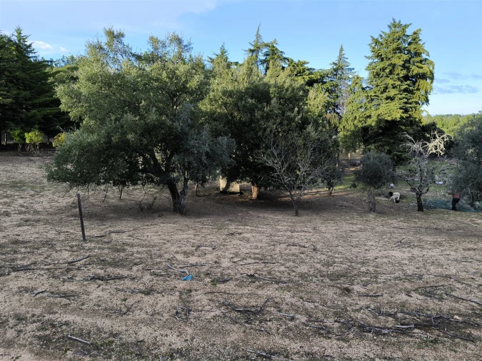 Moradia T0 para Venda em Salgueiro do Campo Foto 43