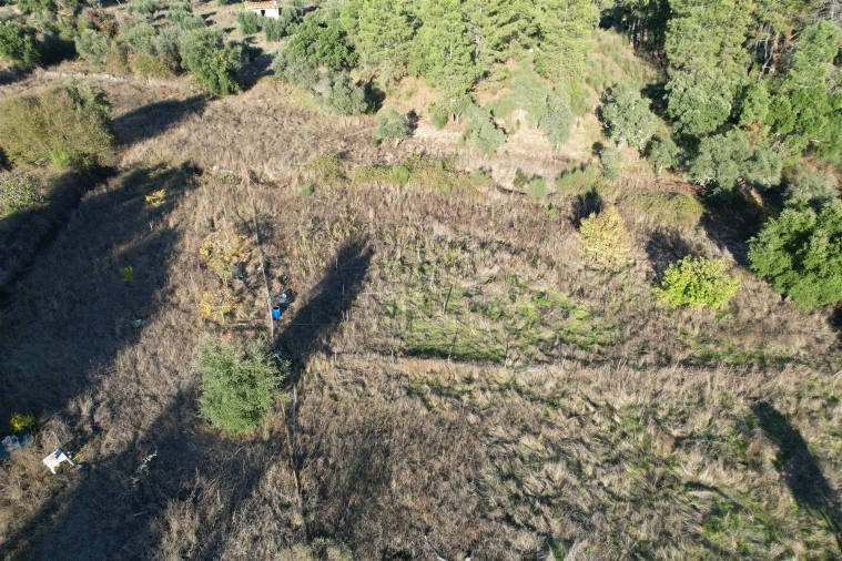 Moradia T0 para Venda em Salgueiro do Campo Foto 5