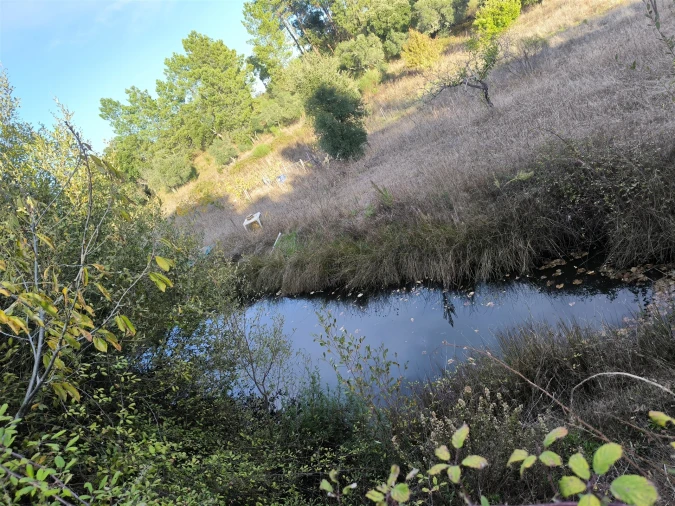 Moradia T0 para Venda em Salgueiro do Campo Foto 39