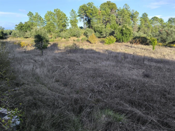 Moradia T0 para Venda em Salgueiro do Campo Foto 36