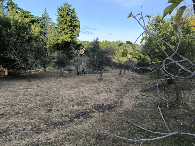 Moradia T0 para Venda em Salgueiro do Campo Foto 44