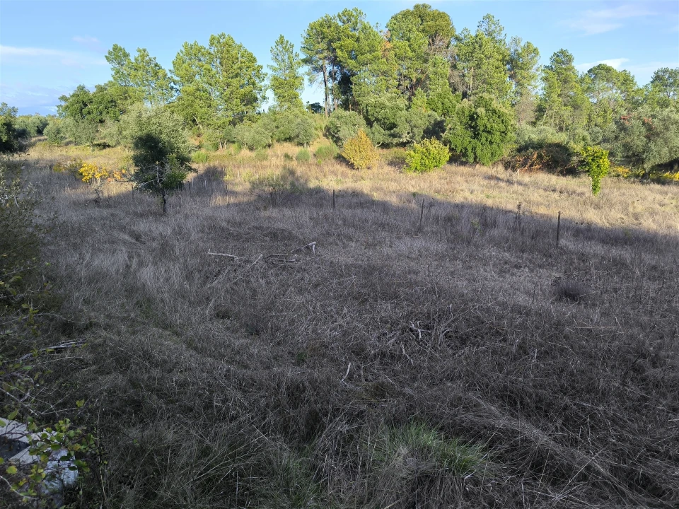 Moradia T0 para Venda em Salgueiro do Campo Foto 36