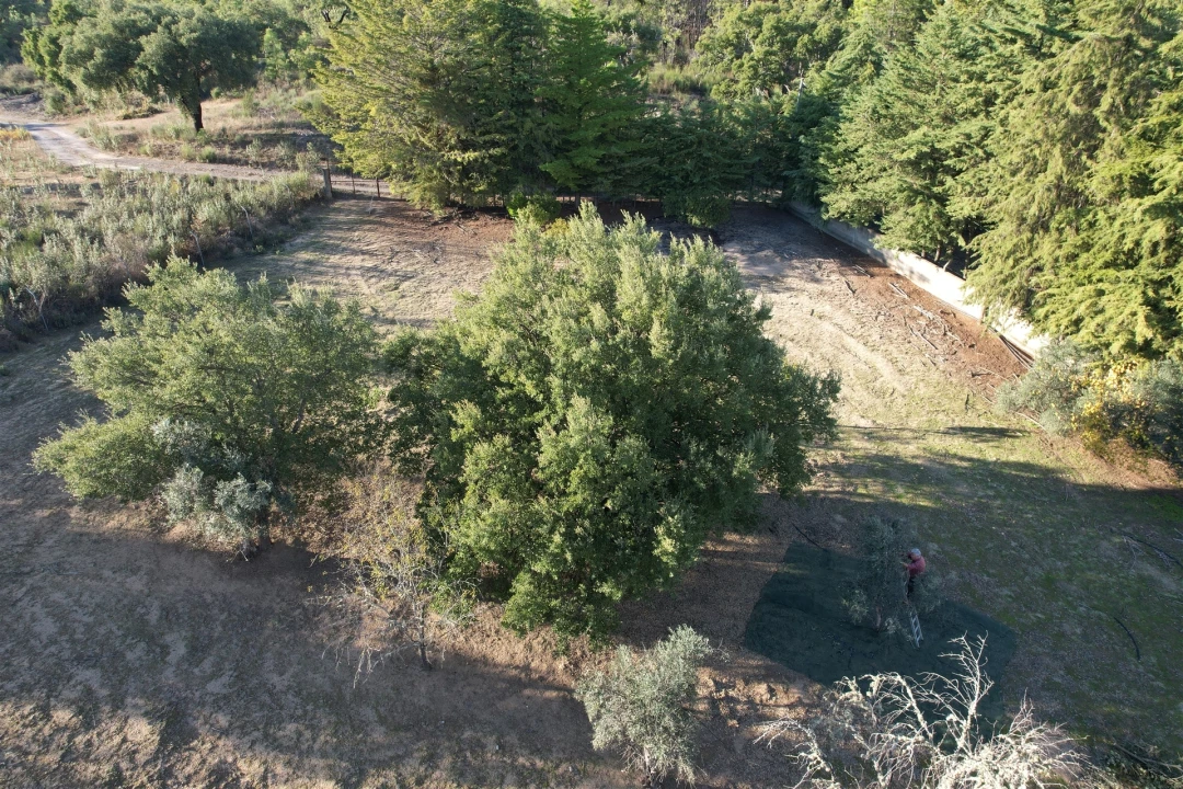 Moradia T0 para Venda em Salgueiro do Campo Foto 7