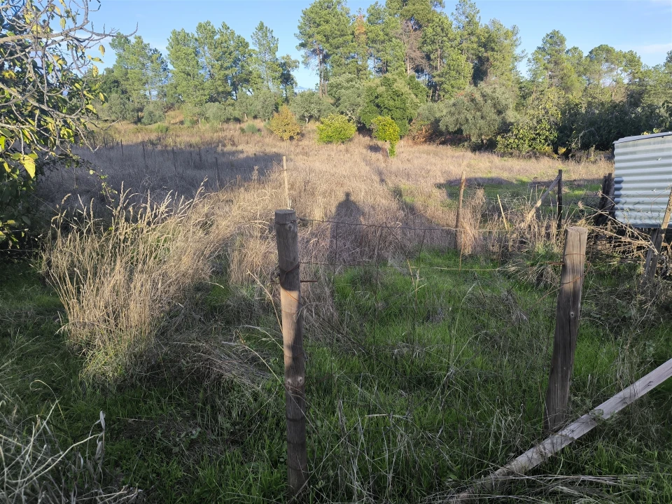 Moradia T0 para Venda em Salgueiro do Campo Foto 41