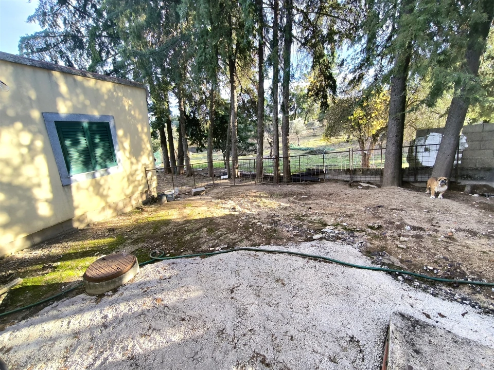 Moradia T0 para Venda em Salgueiro do Campo Foto 30