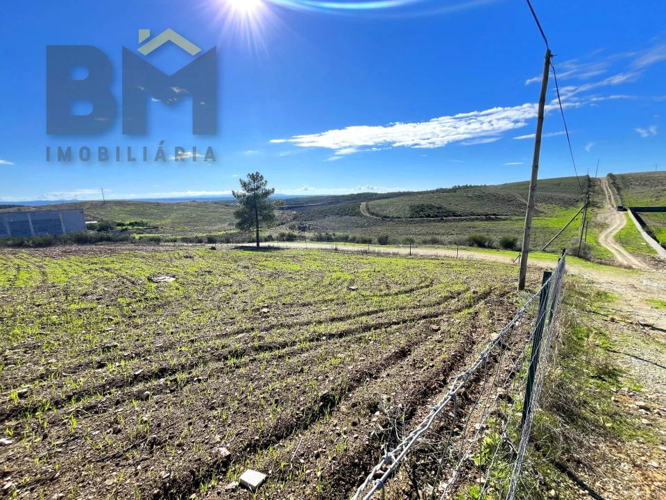 Terreno para Venda em Castelo Branco Foto 5
