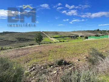 Terreno para Venda em Castelo Branco