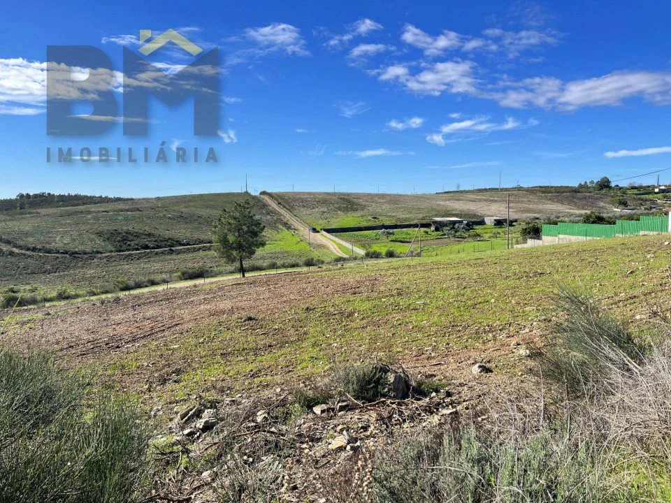 Terreno para Venda em Castelo Branco Foto 6