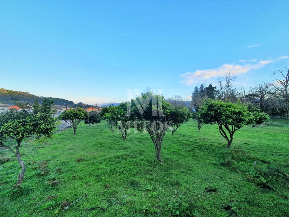 Quinta T8 para Venda em Santa Marta de Portuzelo Foto 27