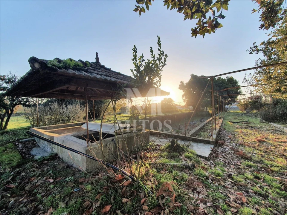 Quinta T8 para Venda em Santa Marta de Portuzelo Foto 22