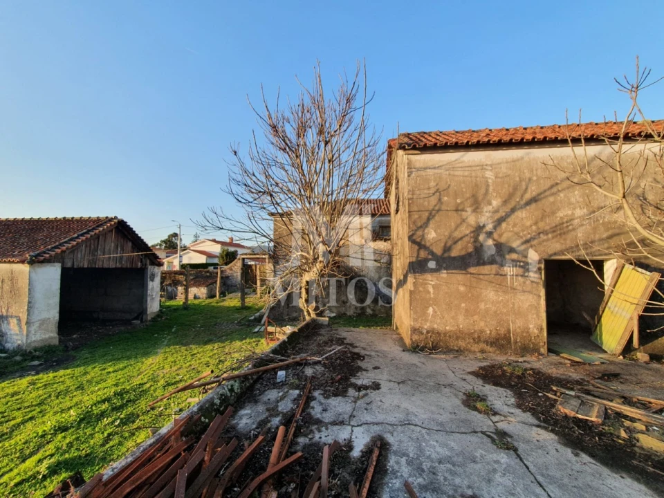 Quinta T8 para Venda em Santa Marta de Portuzelo Foto 3