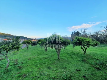 Quinta T8 para Venda em Santa Marta de Portuzelo