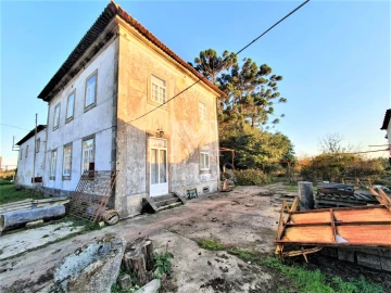 Quinta T8 para Venda em Santa Marta de Portuzelo