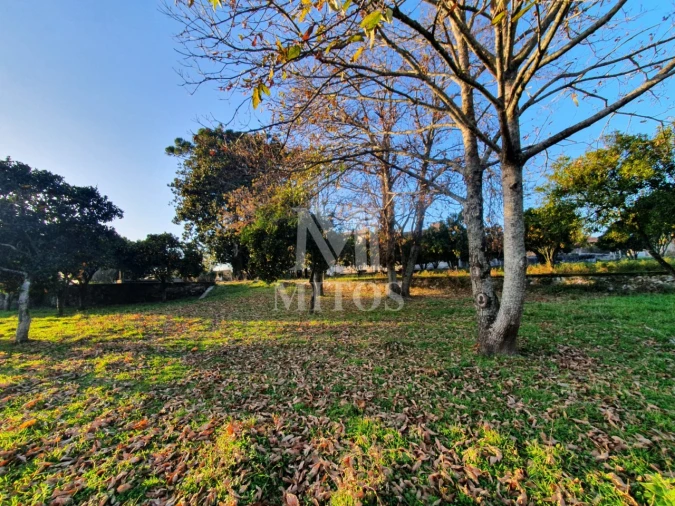 Quinta T8 para Venda em Santa Marta de Portuzelo Foto 23