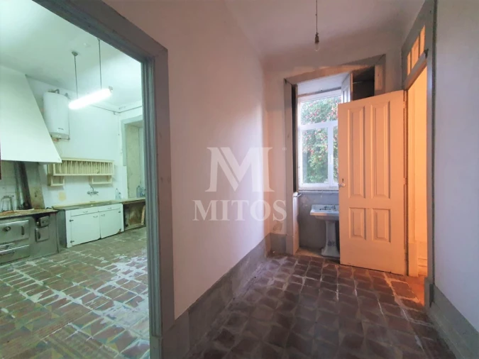 Quinta T8 para Venda em Santa Marta de Portuzelo Foto 21