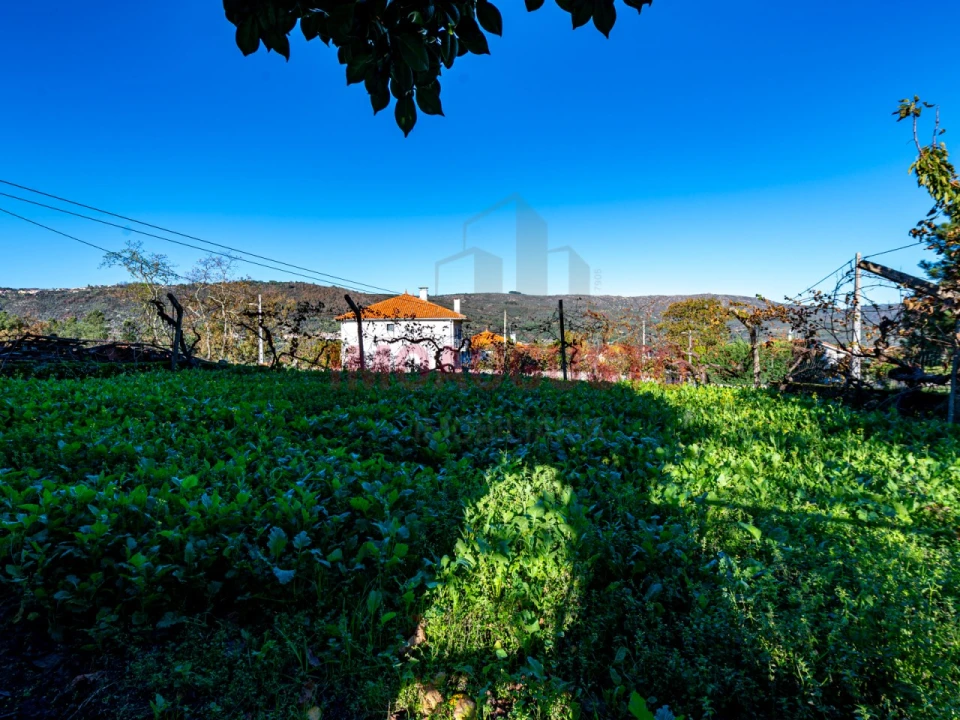 Moradia T2 para Venda em Sobral Pichorro e Fuinhas Foto 15