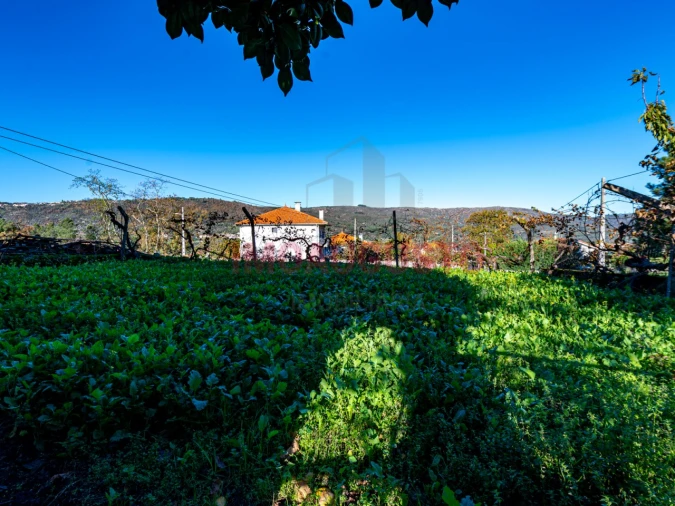 Moradia T2 para Venda em Sobral Pichorro e Fuinhas Foto 15