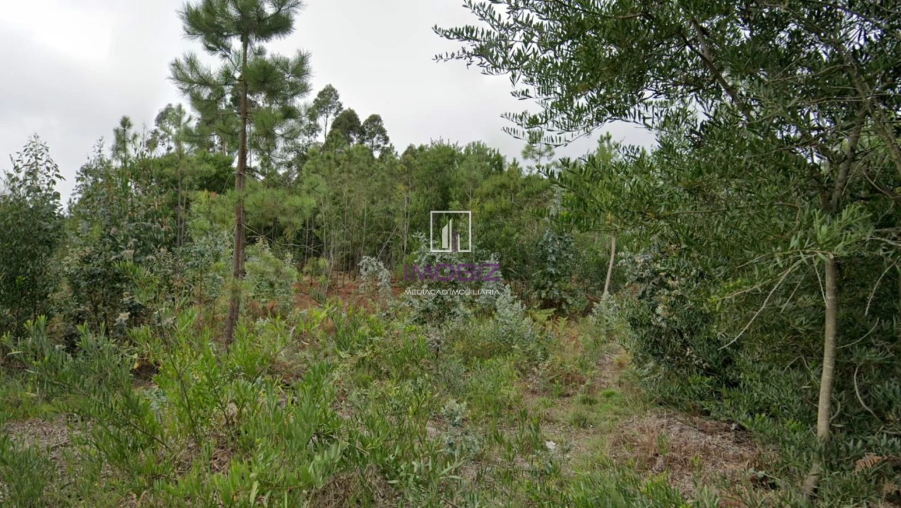 Terreno Comércio / Armazém para Venda em Esgueira Foto 3