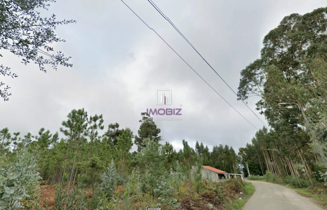 Terreno Comércio / Armazém para Venda em Esgueira Foto 4