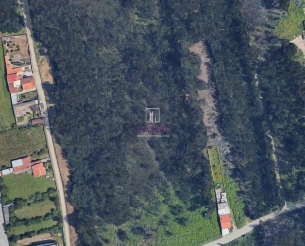 Terreno Comércio / Armazém para Venda em Esgueira Foto 1