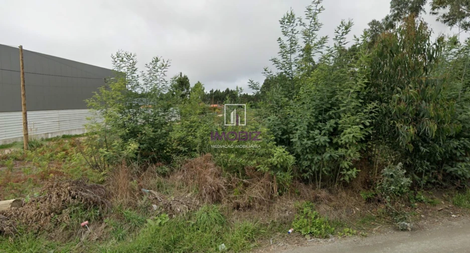 Terreno Comércio / Armazém para Venda em Esgueira Foto 2