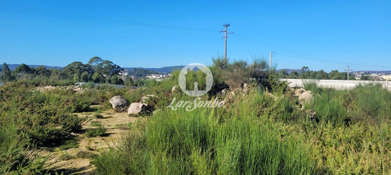 Terreno Agricola ou Rústico para Venda em Figueiras e Covas Foto 5