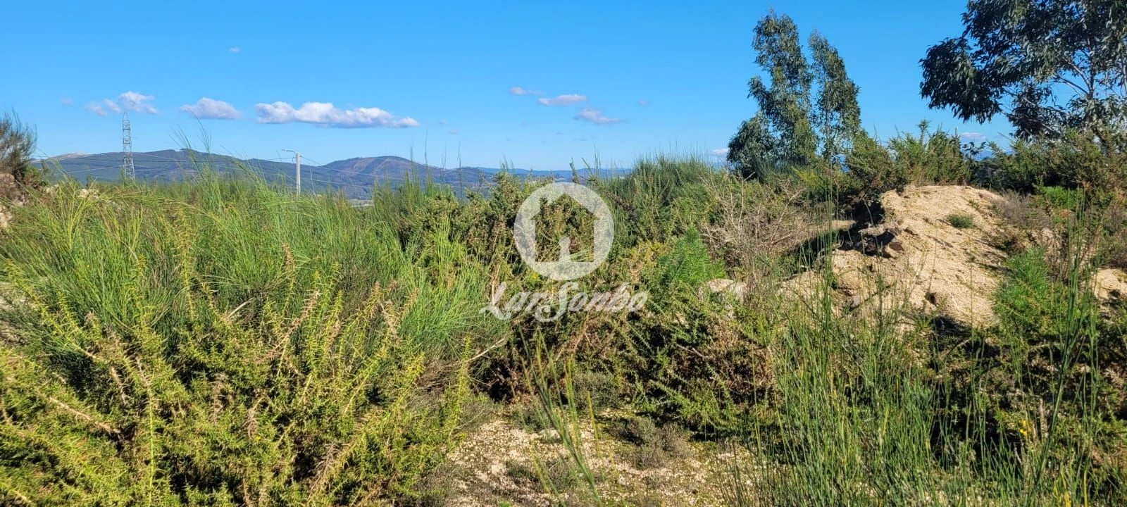 Terreno Agricola ou Rústico para Venda em Figueiras e Covas Foto 7