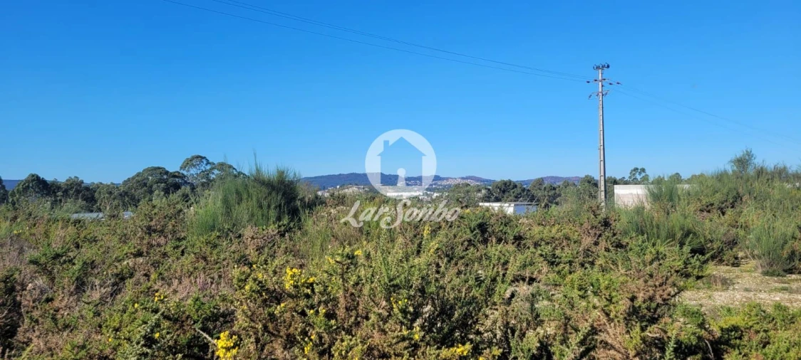 Terreno Agricola ou Rústico para Venda em Figueiras e Covas Foto 9