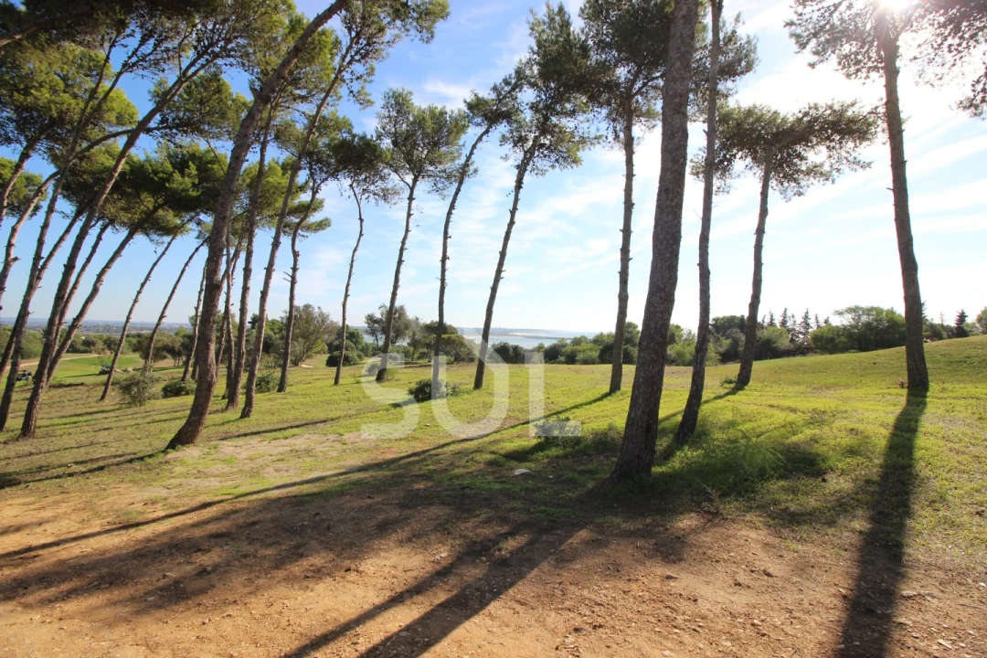 Apartamento T1 para Venda em Odiaxere Foto 32