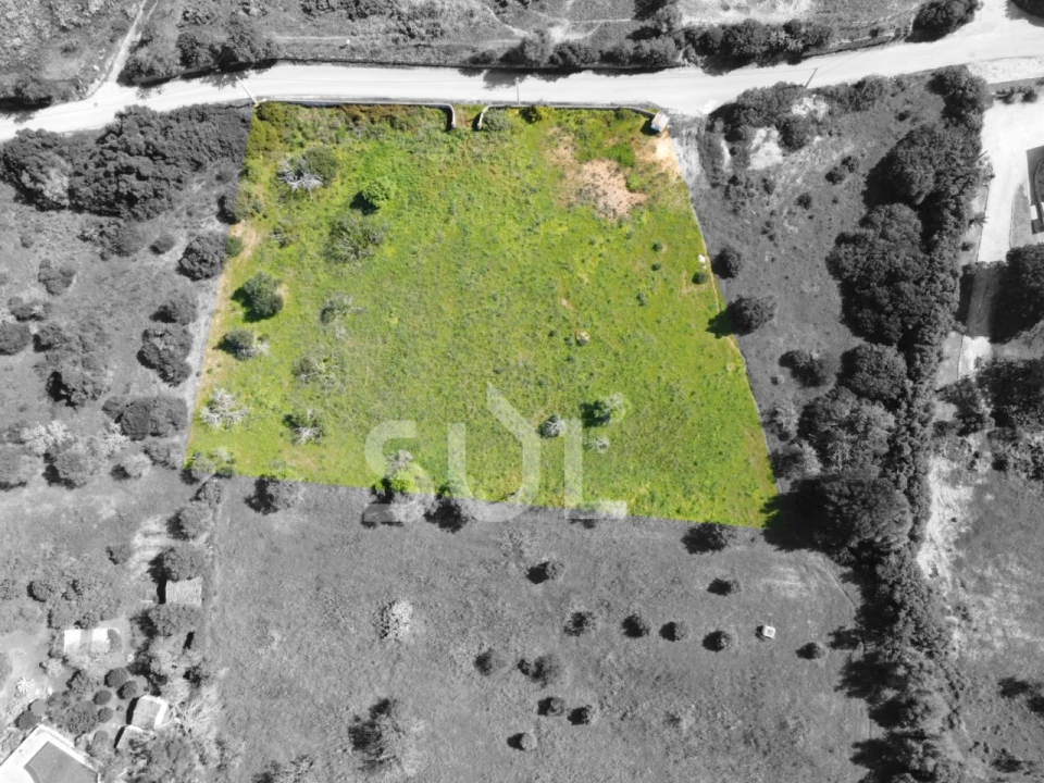 Terreno Agricola ou Rústico para Venda em Lagoa e Carvoeiro Foto 4
