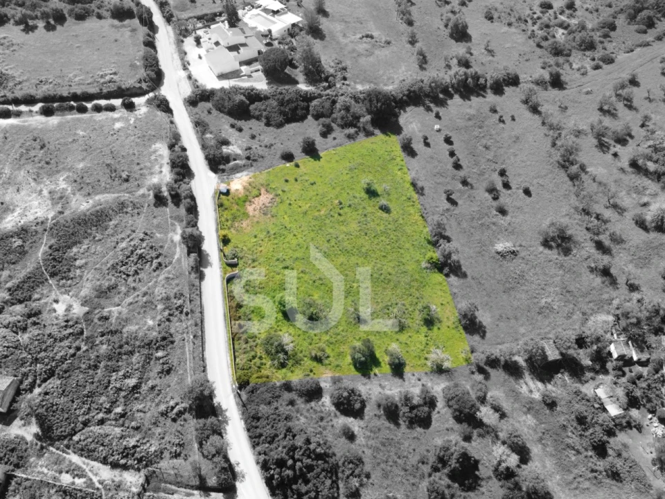 Terreno Agricola ou Rústico para Venda em Lagoa e Carvoeiro Foto 7