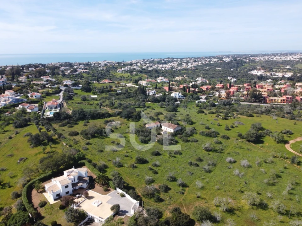 Terreno Agricola ou Rústico para Venda em Lagoa e Carvoeiro Foto 2