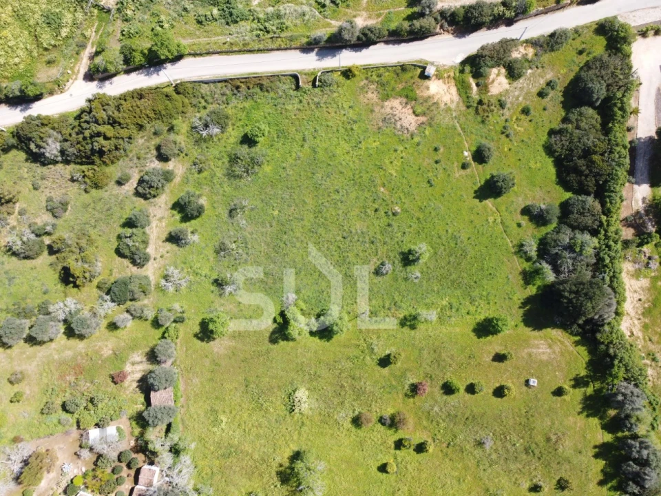 Terreno Agricola ou Rústico para Venda em Lagoa e Carvoeiro Foto 12