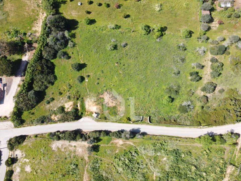 Terreno Agricola ou Rústico para Venda em Lagoa e Carvoeiro Foto 5
