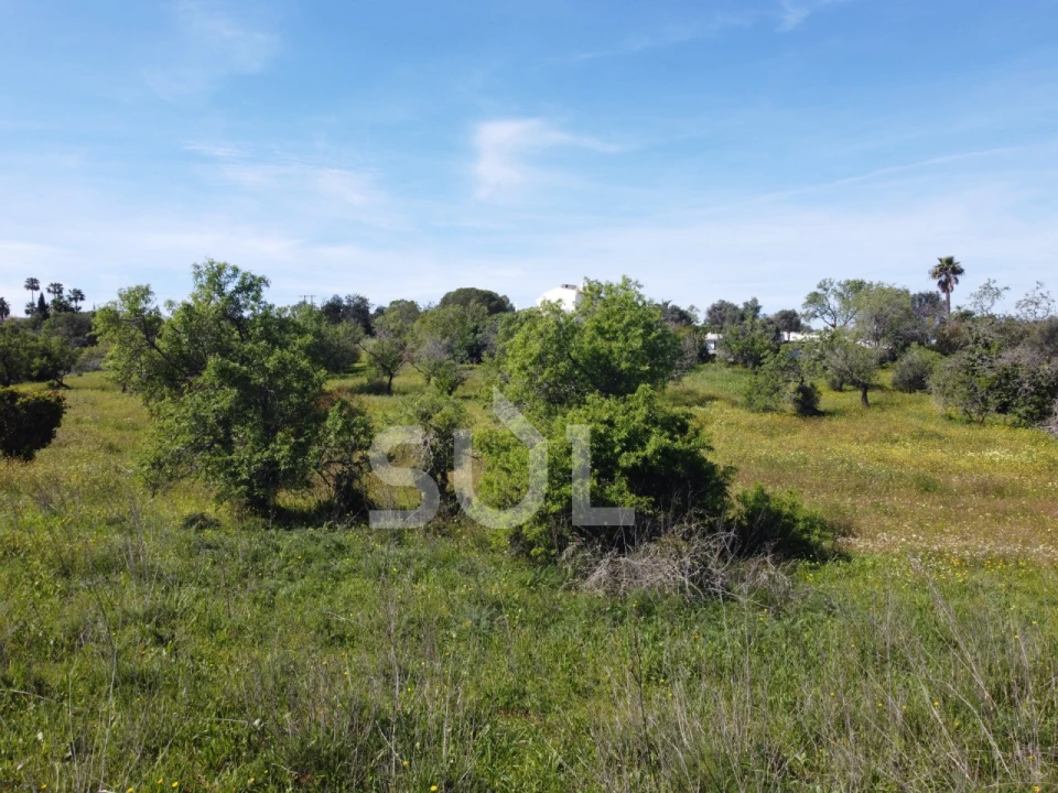 Terreno Agricola ou Rústico para Venda em Lagoa e Carvoeiro Foto 17